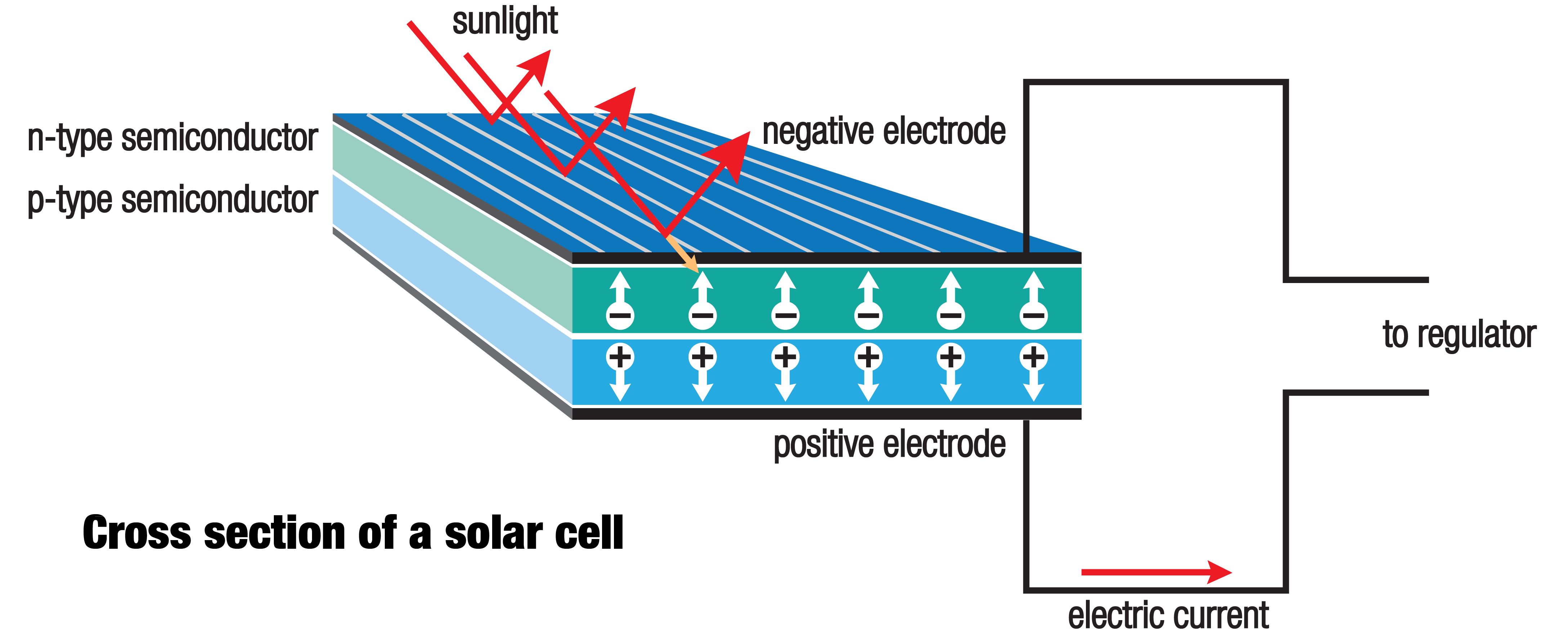 how solar panel works cell