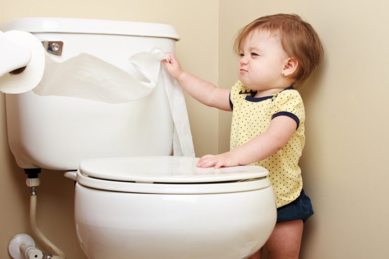 26-toilet-rebate-programs-across-canada-don-t-flush-your-money-down