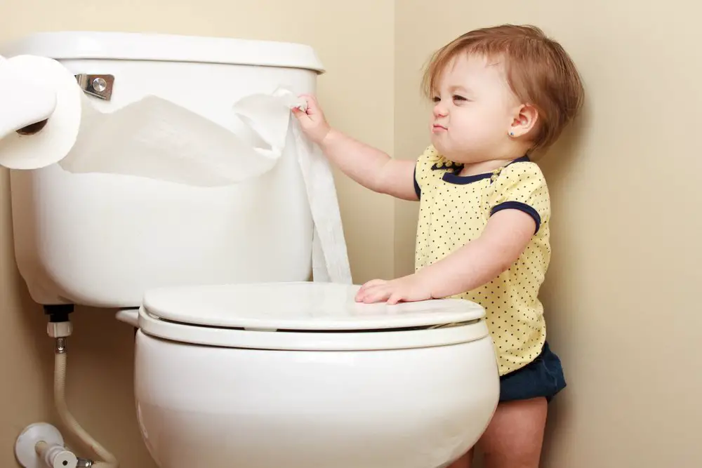 Quebec Toilet Rebates Quebec Toilet Rebates