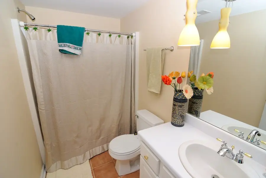 26-toilet-rebate-programs-across-canada-don-t-flush-your-money-down