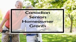 grants seniors canadian homeowner repairs rebates credits tax financial