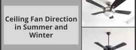 Ceiling Fan Direction in Summer and Winter