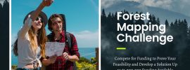 Forest Mapping Challenge