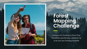 Forest Mapping Challenge