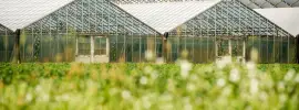 A Guide to Greenhouse Energy Efficiency