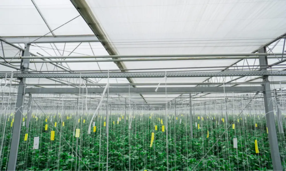 Energy-saving greenhouse technology you should know about(1)