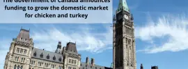 The Government of Canada announces funding to grow the domestic market for chicken and turkey
