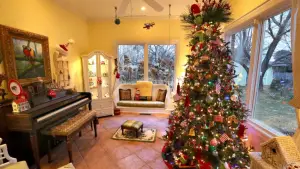 Ways To Save Energy At Home During the Holidays