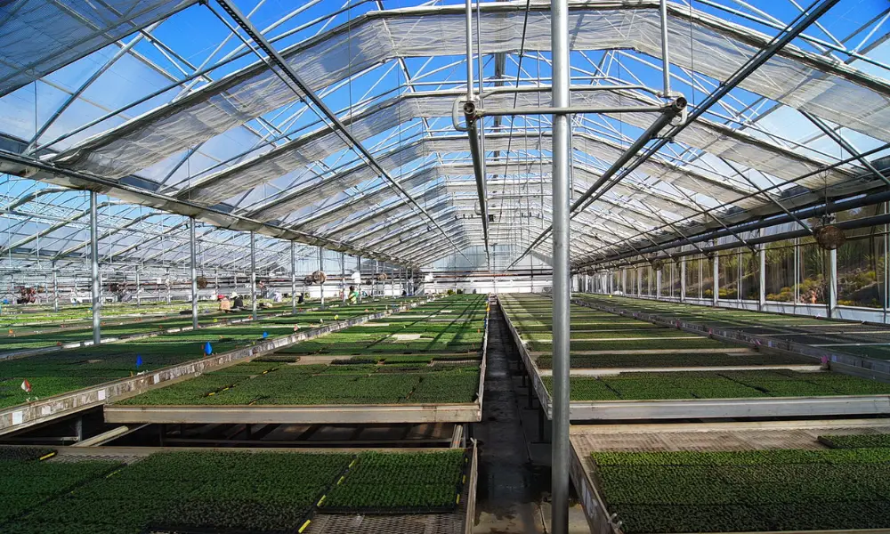 What Are Greenhouse Energy Curtains