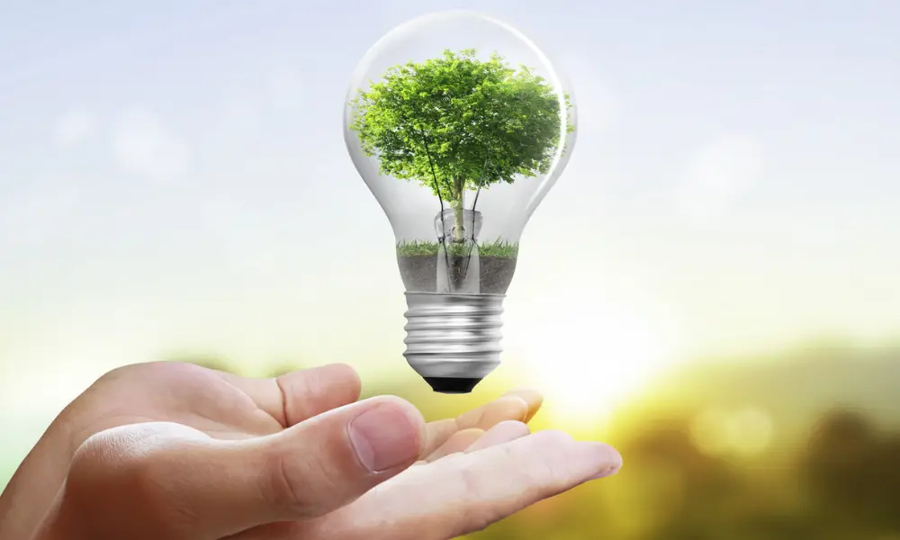 Why Is it Important to Save Energy