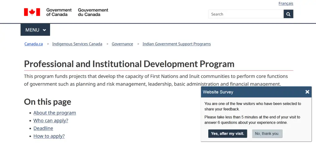 Professional and Institutional Development Program