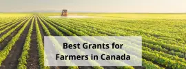 Best Grants for Farmers in Canada