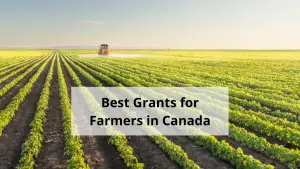 Best Grants for Farmers in Canada