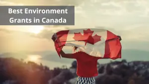 Best Environment Grants in Canada