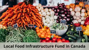 Local Food Infrastructure Fund in Canada(1)