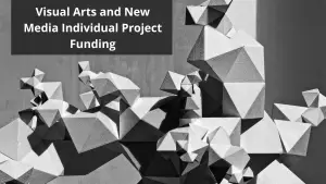 Visual Arts and New Media Individual Project Funding(1)